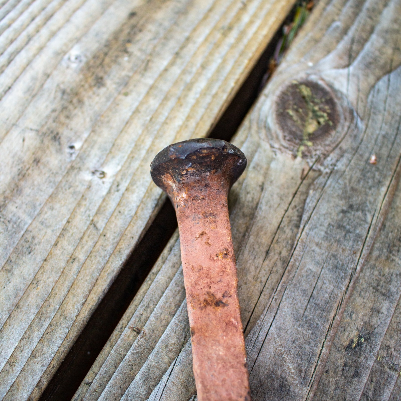 Grandpa 1870 Antique Square Nail used for Goldmine West Rim Grand Canyon Arizona