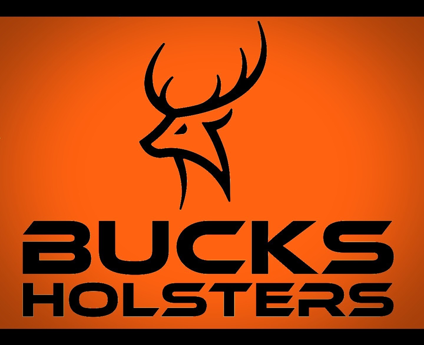 CHIAPPA RHINO 200DS REVOLVER IWB Kydex Holster * Bucks Holsters * USA