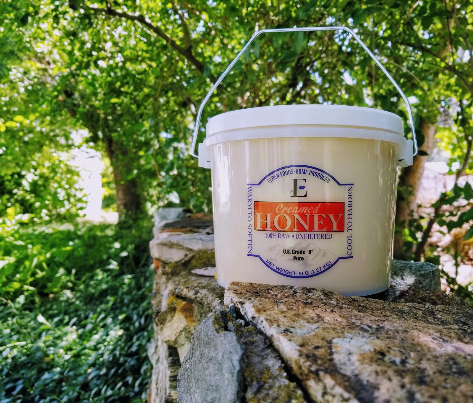 100% Pure - Cinnamon Creamed Honey - Raw and Unfiltered -  5lbs