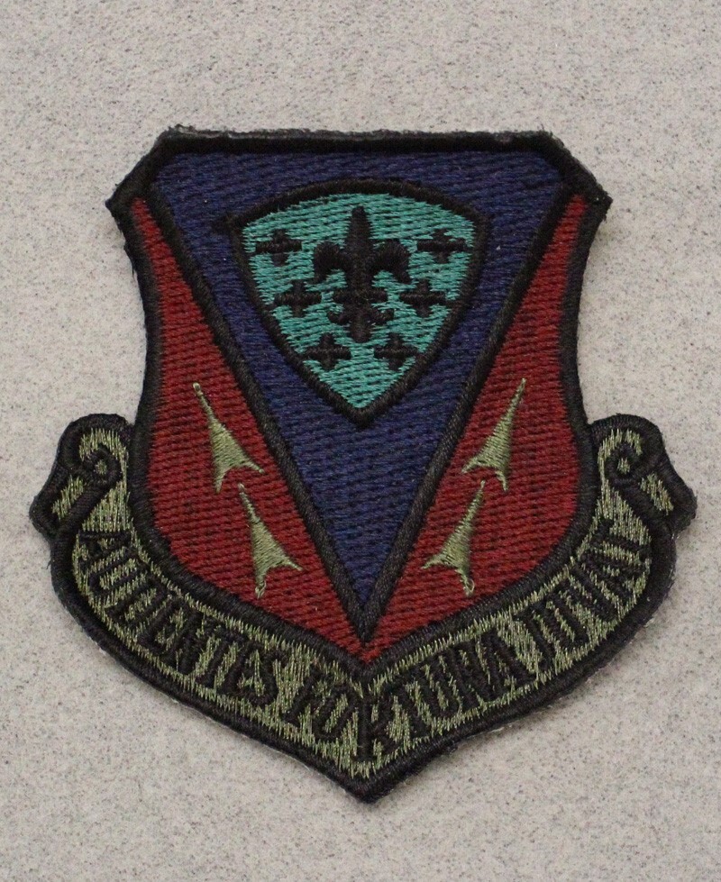 USAF Air Force Patch 269: 366th Wing - subdued