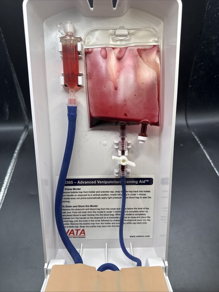 VATA Advanced 4-Vein Venipuncture Training Aid 2365 Teaching Model