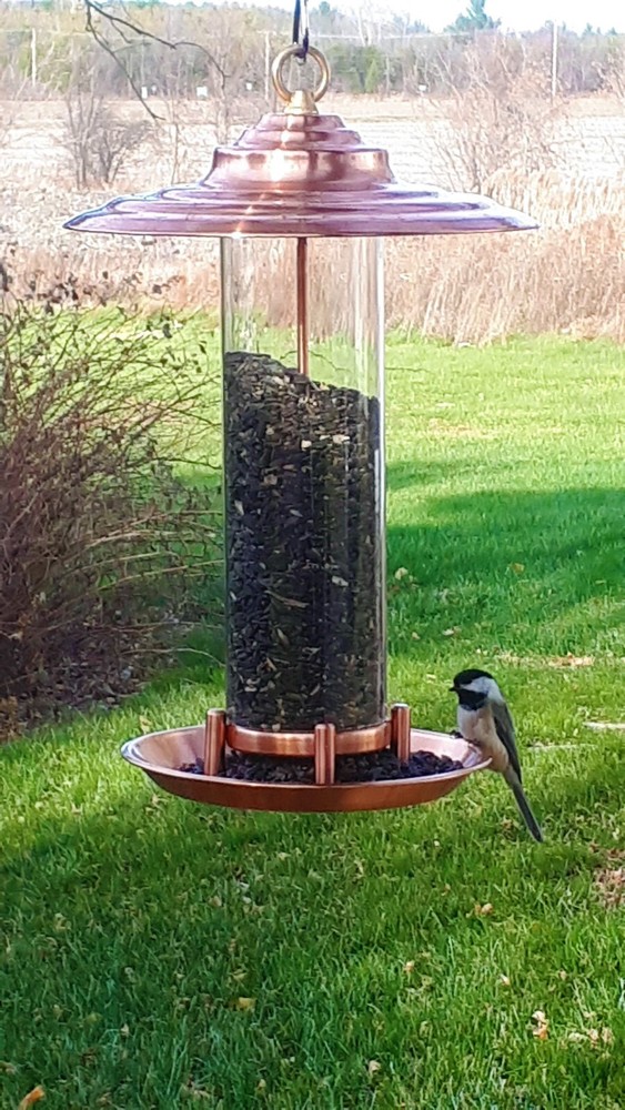 Bird feeder Hancrafted PURE COPPER (Not plated)