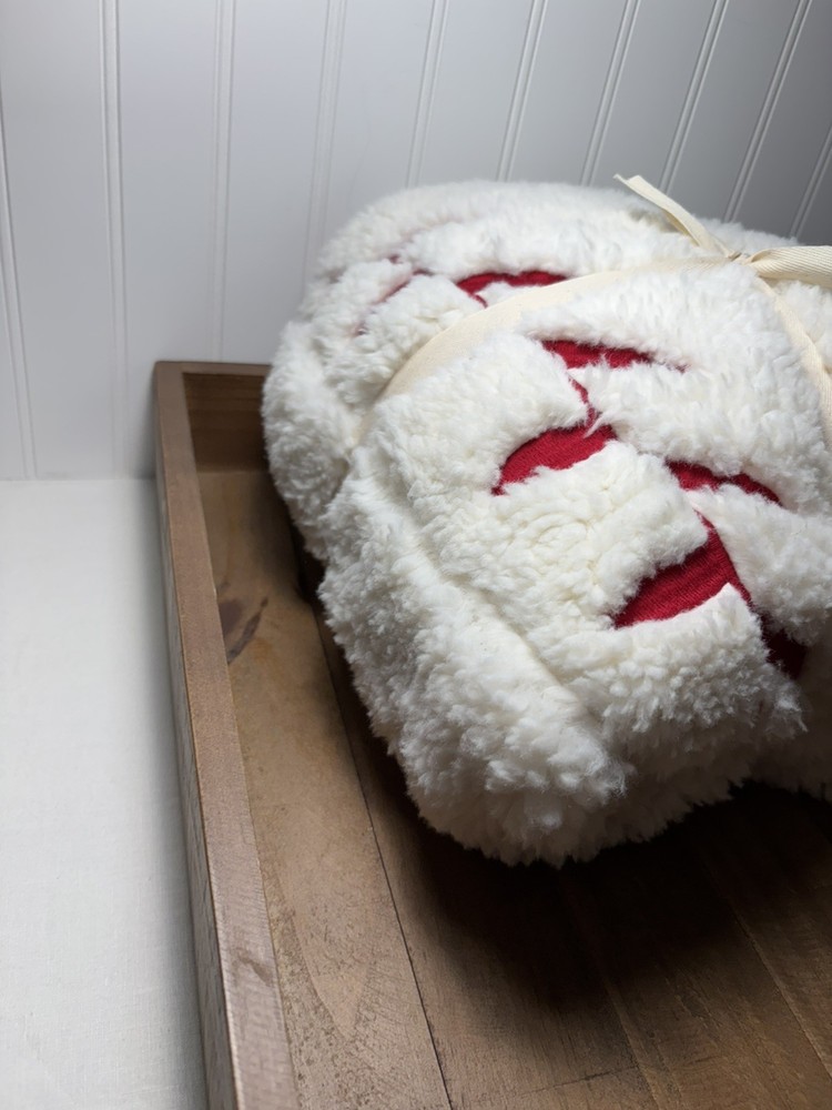 Pottery Barn Kids Anywhere Beanbag, Sherpa Baseball Slipcover Only 31”