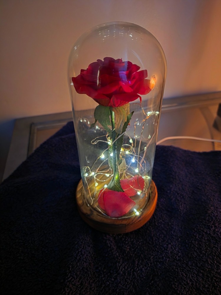 Light up Rose in Dome
