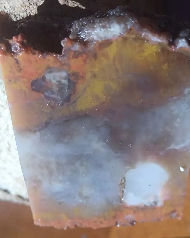 Volcanic Petrified Wood Limb Casting End Cut From Cube Utah See Cube