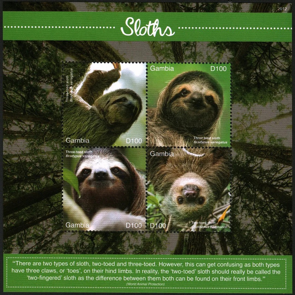 GAMBIA 2020 Stamps Sheet Sloth Stamp MNH #30348