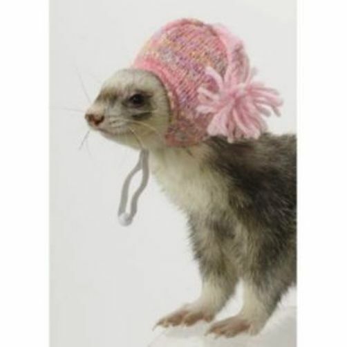 Marshall Ferret Cap Pink Knit