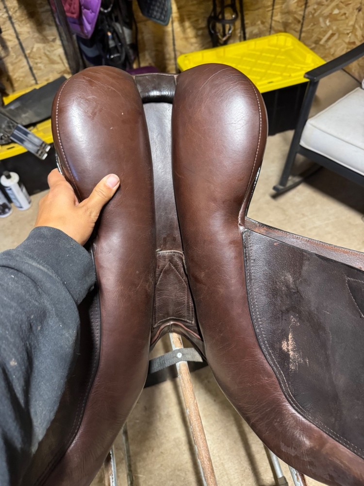 m toulouse professional (Adjustable tree)