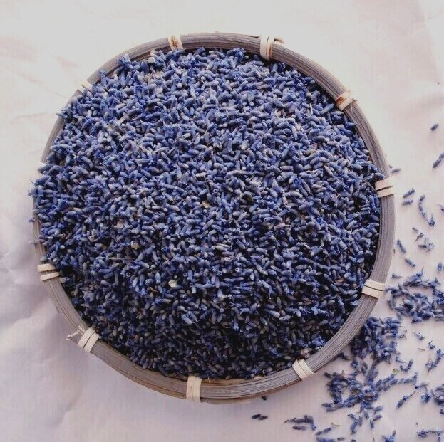 French Lavender Organic Flower Buds ~ Dark Blue ~ Fresh Flowers Bulk USA