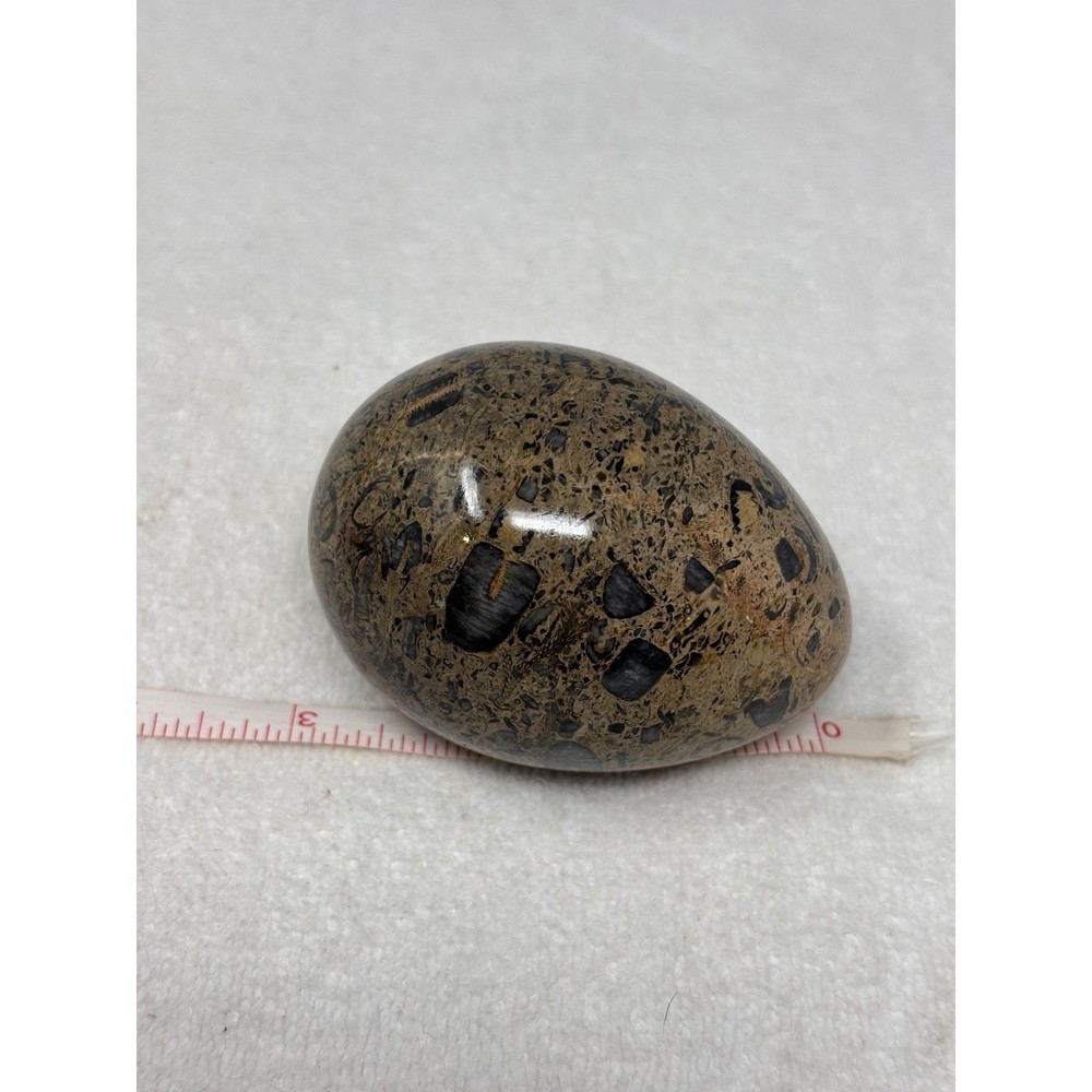 Fossilized Egg Stone Limestone Orthoceras Ammonite Sphere Display Paperweight