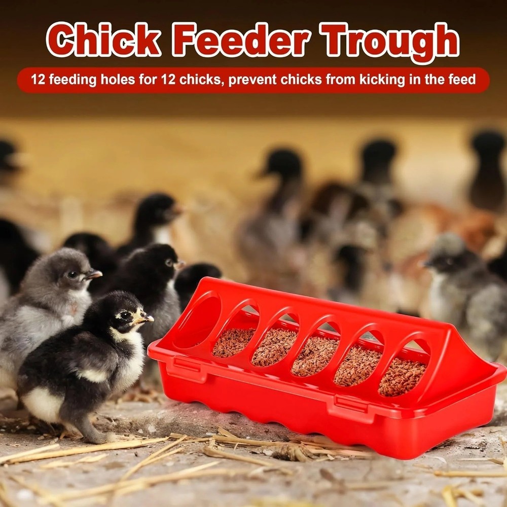 Chick Brooder Box Starter Kit, Plastic Baby Chicken Feeder and Waterer Set with