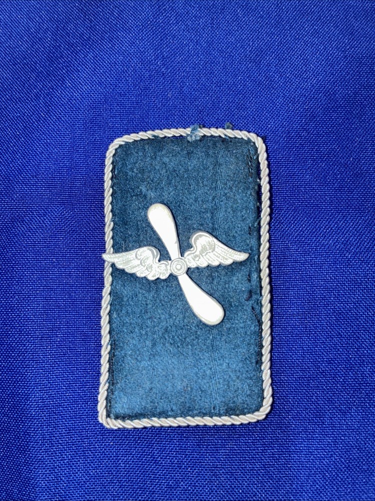 WW2 ERA GERMAN DLV COLLAR TAB