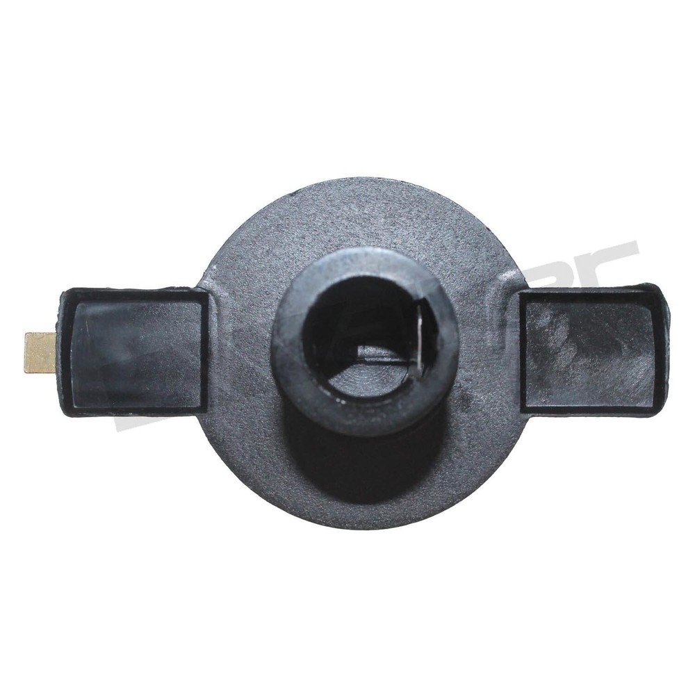 For 1987 GMC V1500 Distributor Rotor Walker