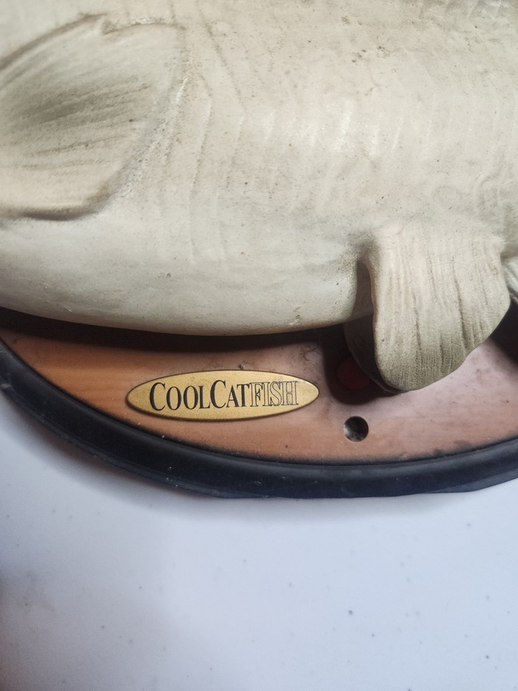 CoolCatfish Automated Wall Hanger Catfish Working