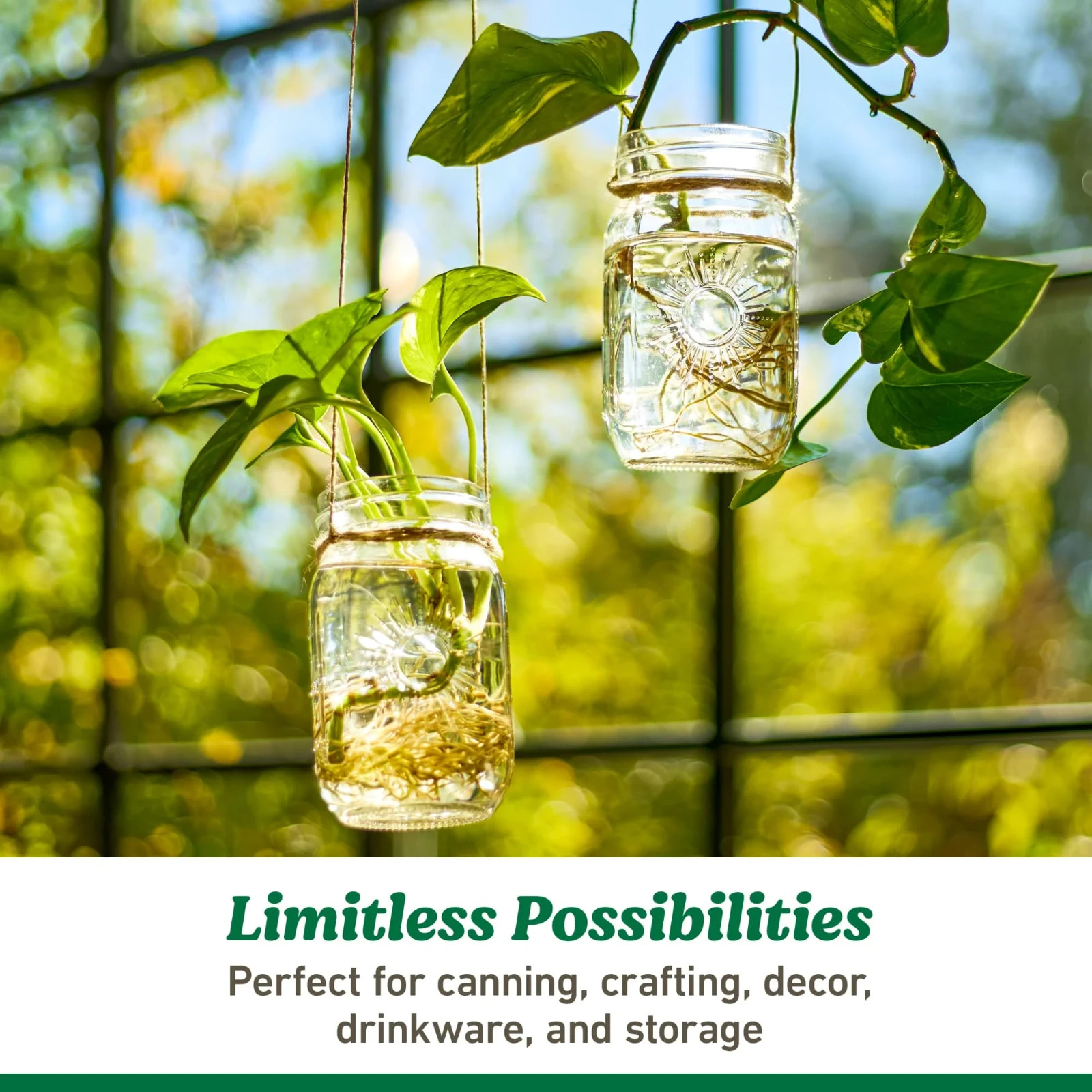 Ball Mason Jars 16 oz Regular Mouth Pint 4 Pack Limited Edition Sunshine