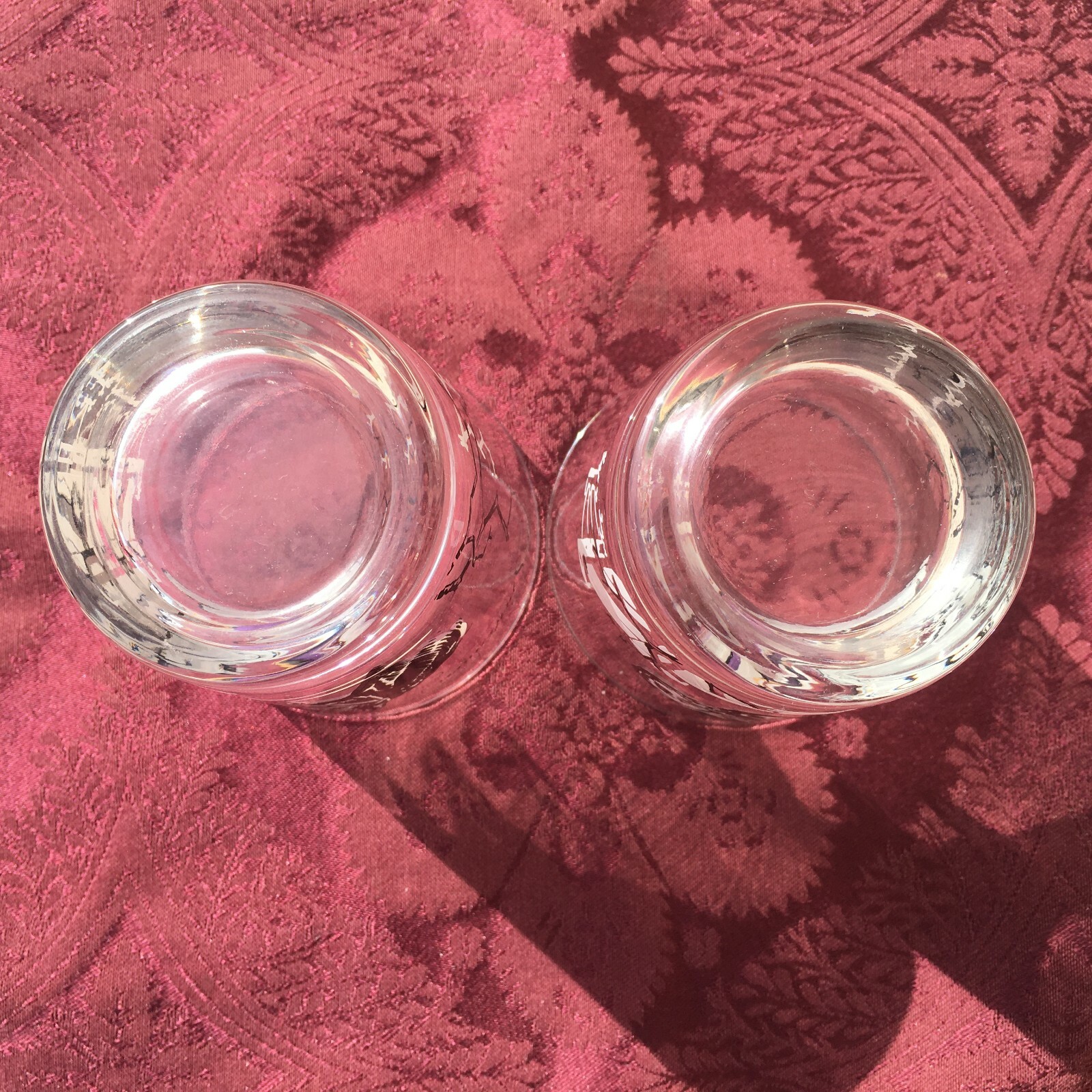 VTG Mid Century MCM Equestrian Highball Drinking Glasses Horse Race Western Pair