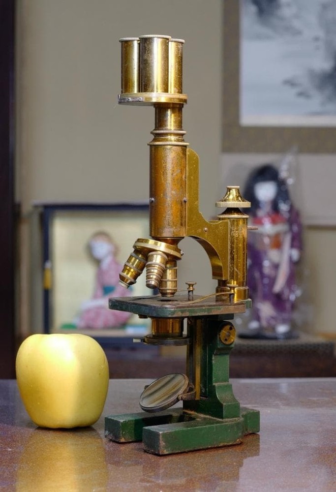 Antique E. Messter Universal Bacterial Microscope 1880s Quick Lift Patent
