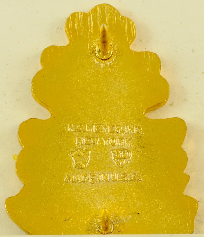 157th Infantry Brigade Crest DI/DUI CB NS Meyer HM