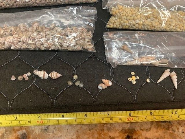 Tiny Miniature Fairy Garden Sea Shell Assorted Mix Tiny Small Sea Shells Crafts