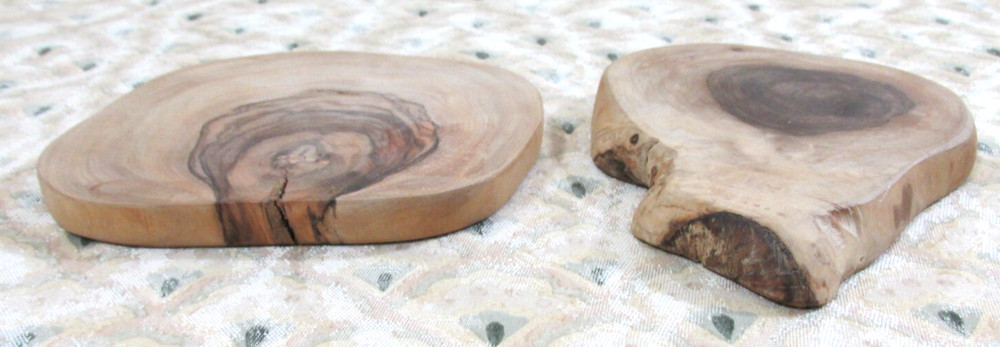 PETRIFIED TREE SLICES FOSSILIZED 5" ROUNDS