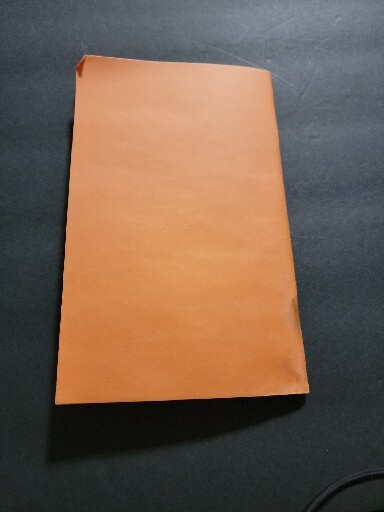 NORTHWEST MAINTENANCE AND ENGINEERING TECHNICAL PUBLICATIONS A320-211 STATION...