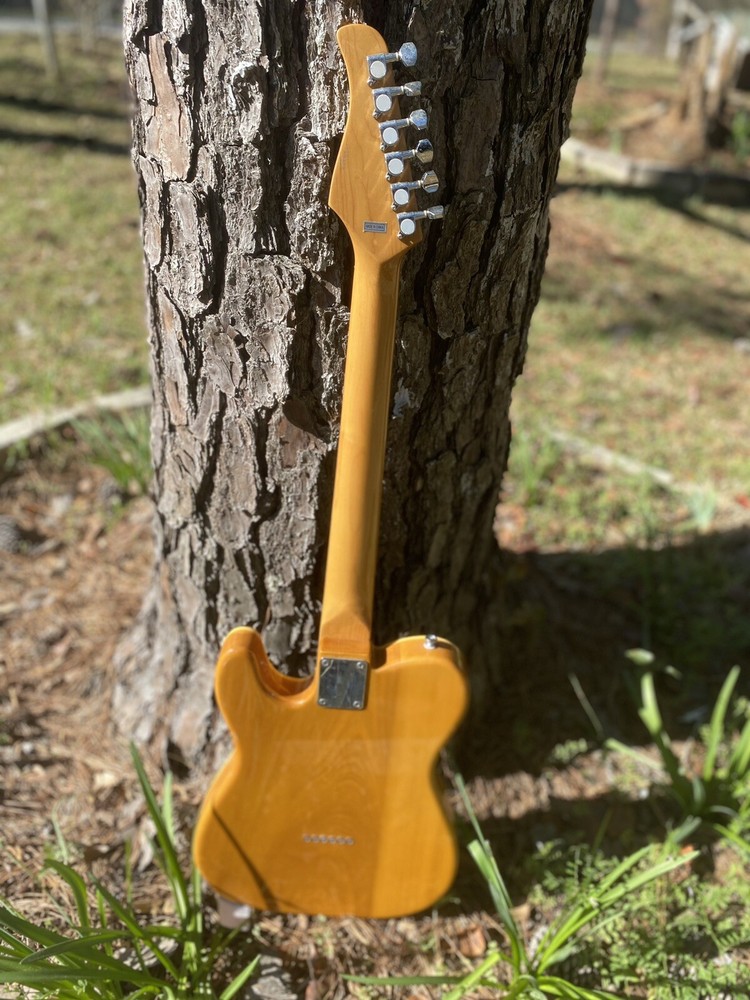 douglas guitar