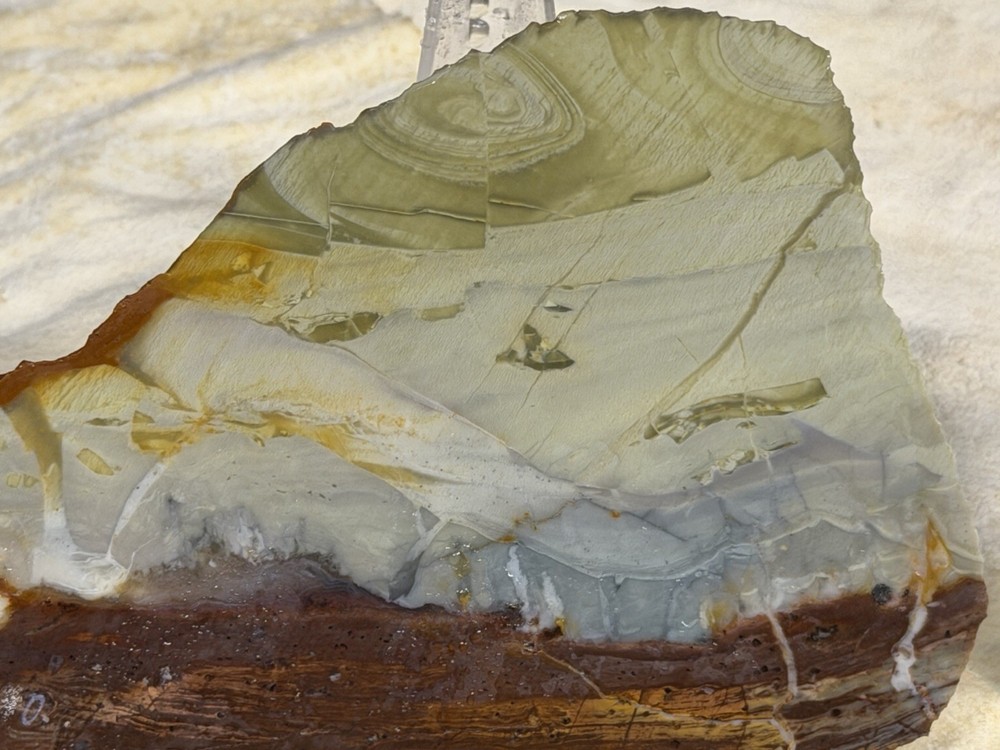 Willow Creek Jasper End Cuts, Lot # 309