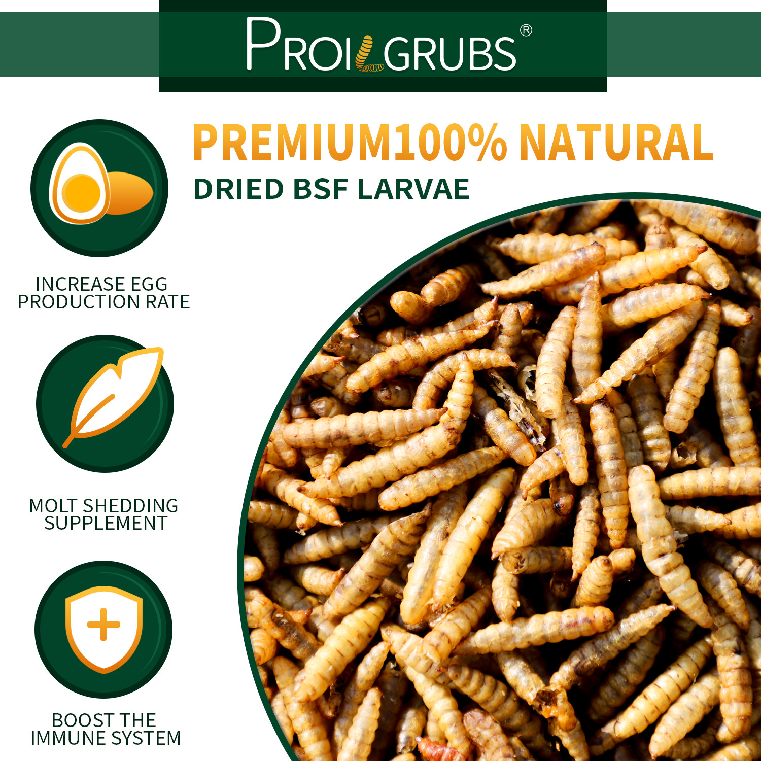 PROILGRUBS 10 LBS Non-GMO Dried Black Soldier Fly Larvae for Chickens,Birds