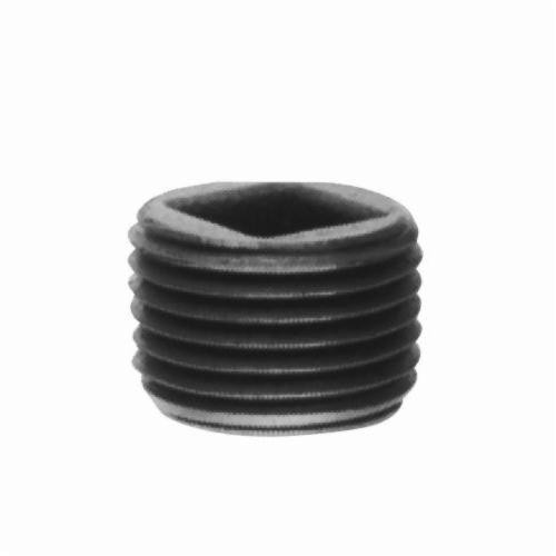 Eaton PLG6 2" Recessed Plug PVC NPT Fitting