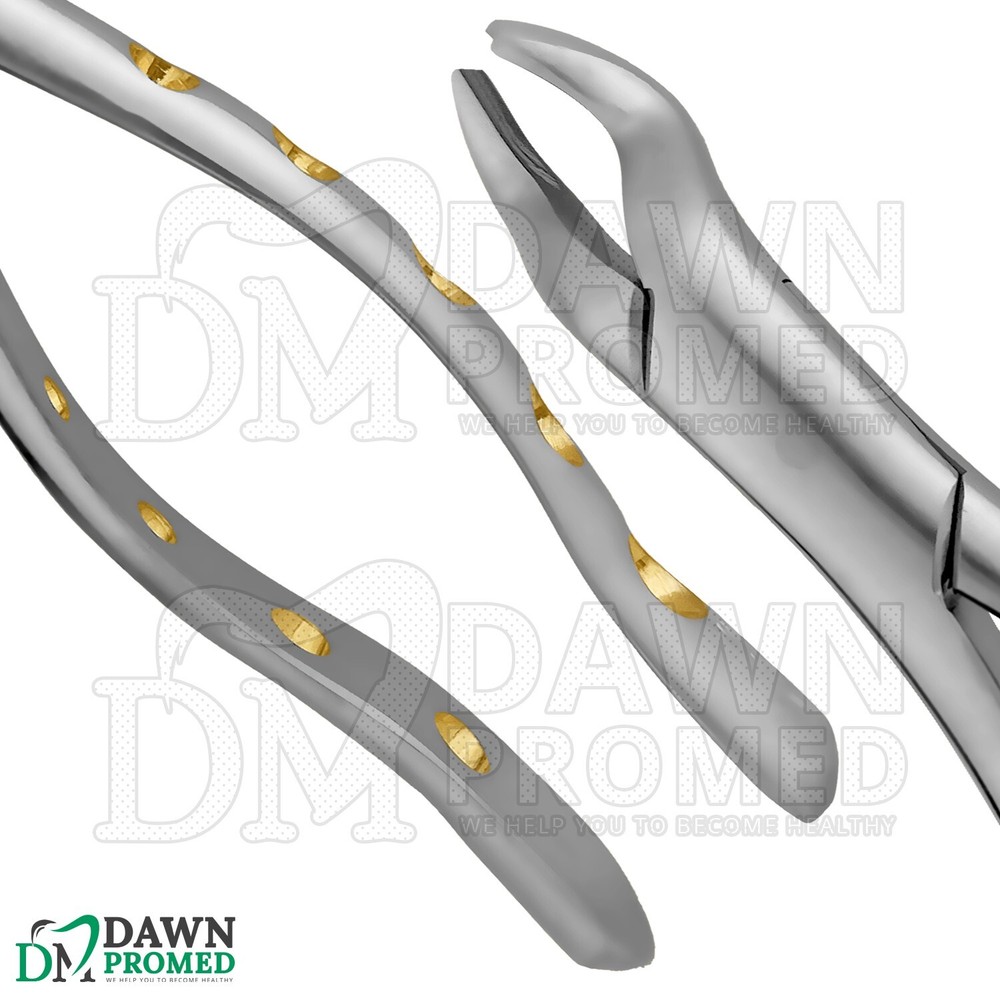 Dental Extracting Forceps #53L Gold Hollow Python Grip Handle German Grade