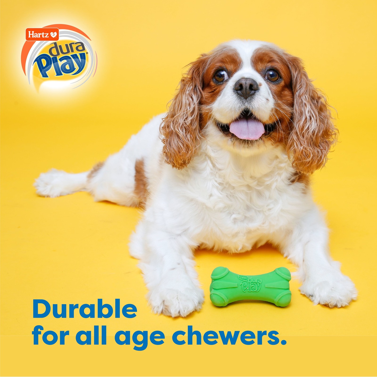 3 pack Dura Play Soft Dog Bone Toy Gentle Chewers Latex Assorted Colors