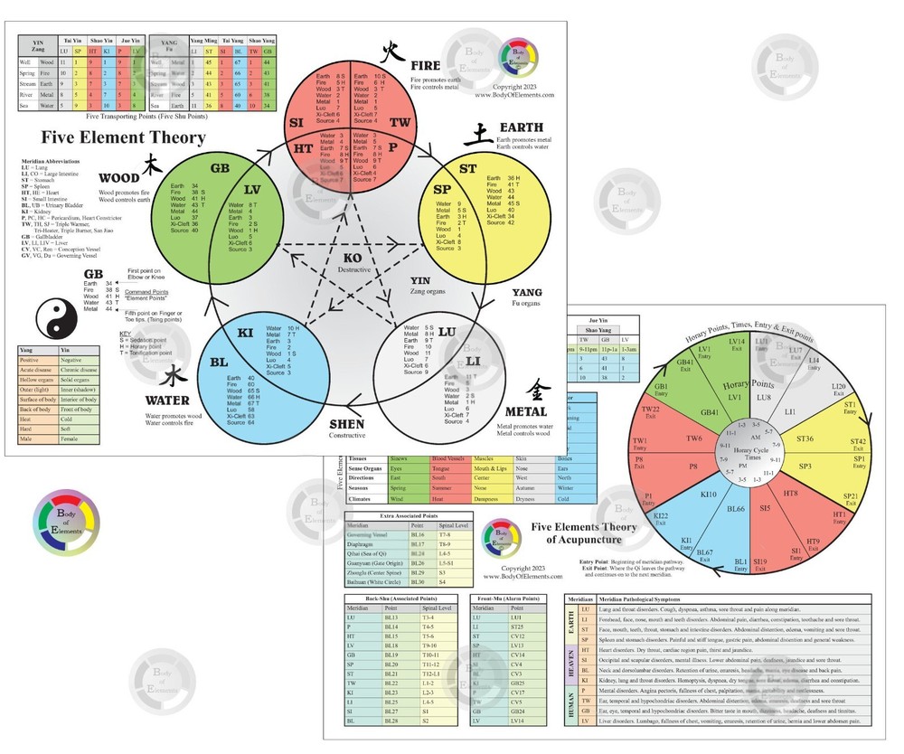 3 Acupuncture Student Chart Set Auriculotherapy Five Elements & Pulse Diagnosis