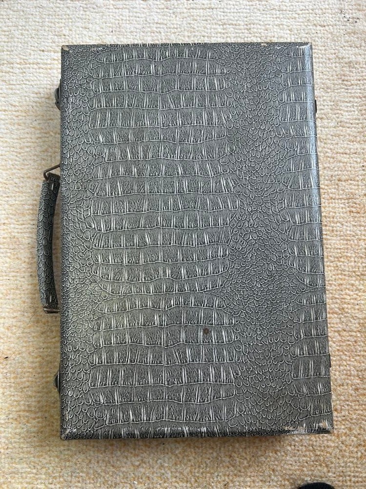 Mahjong tile set with crocodile pattern case