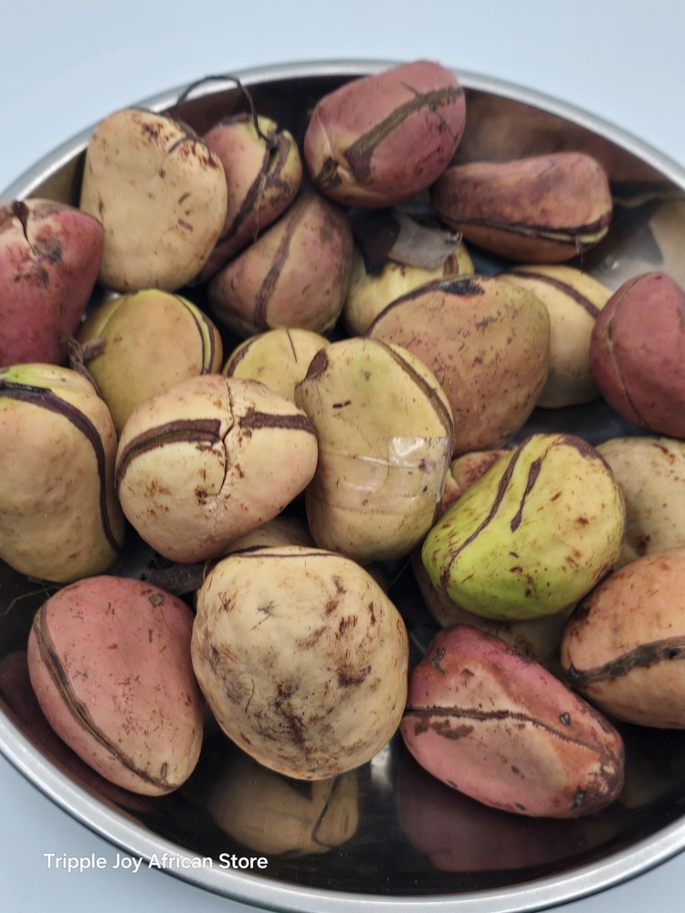 Kola Nut ( Obi)4oz