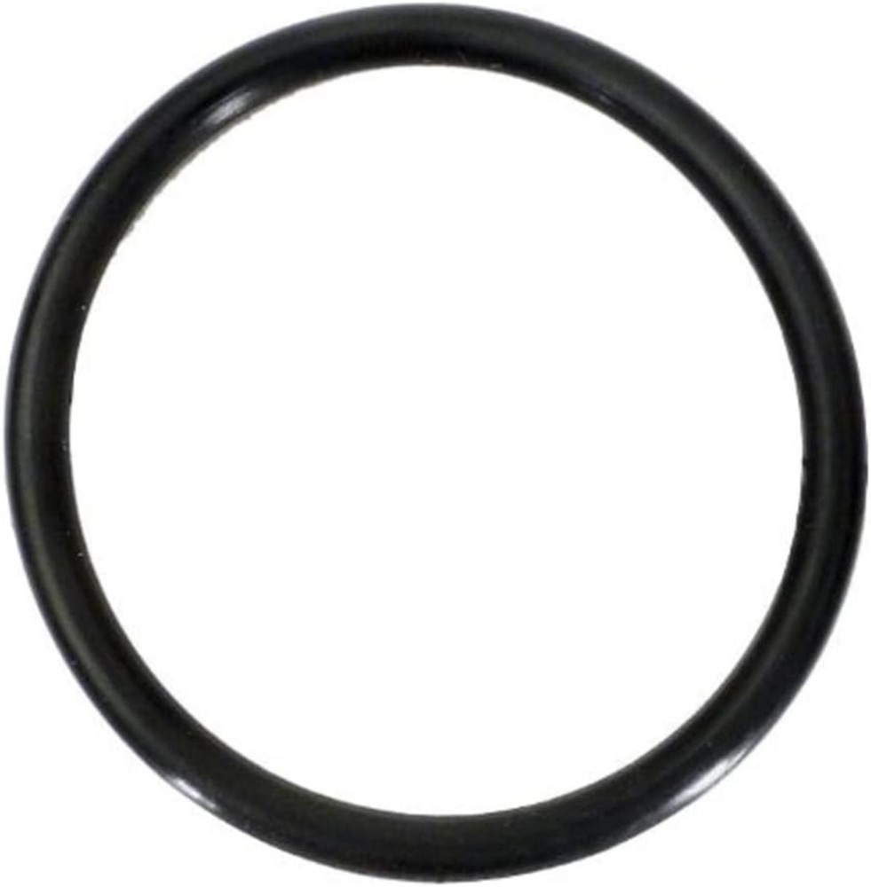 Hayward O-Ring (Union) SPX1483C