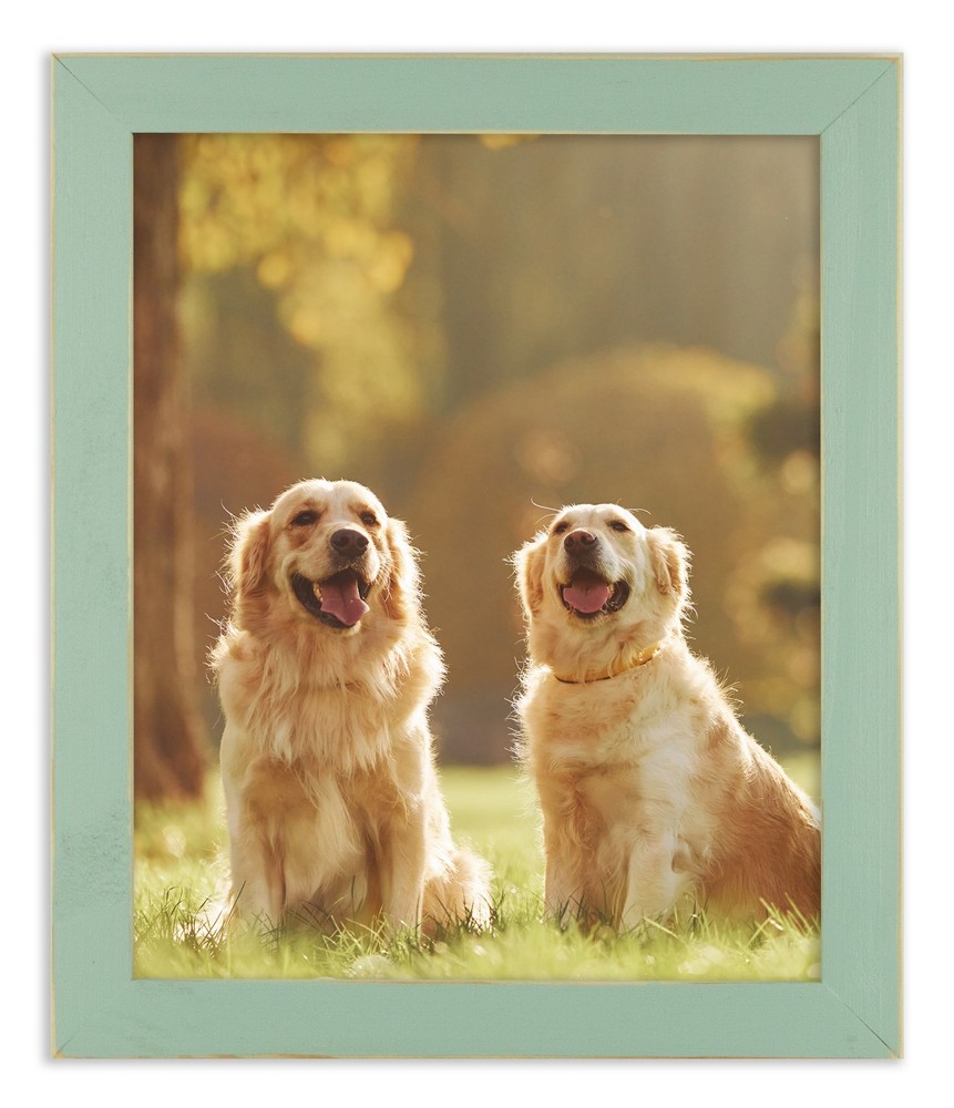 Distressed Emily - Robin Egg Blue Picture Frame - Solid Wood