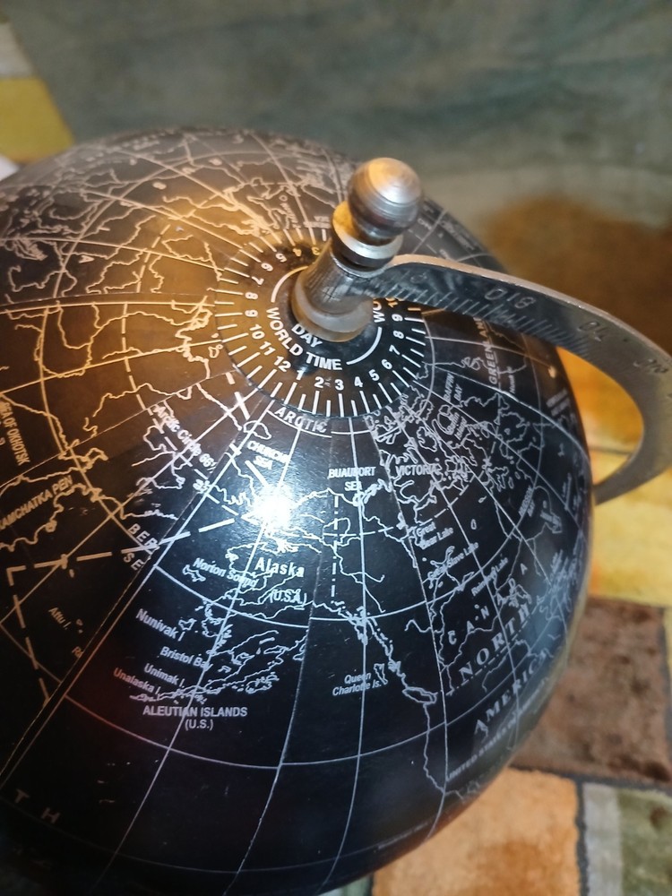 Black and Silver Globe