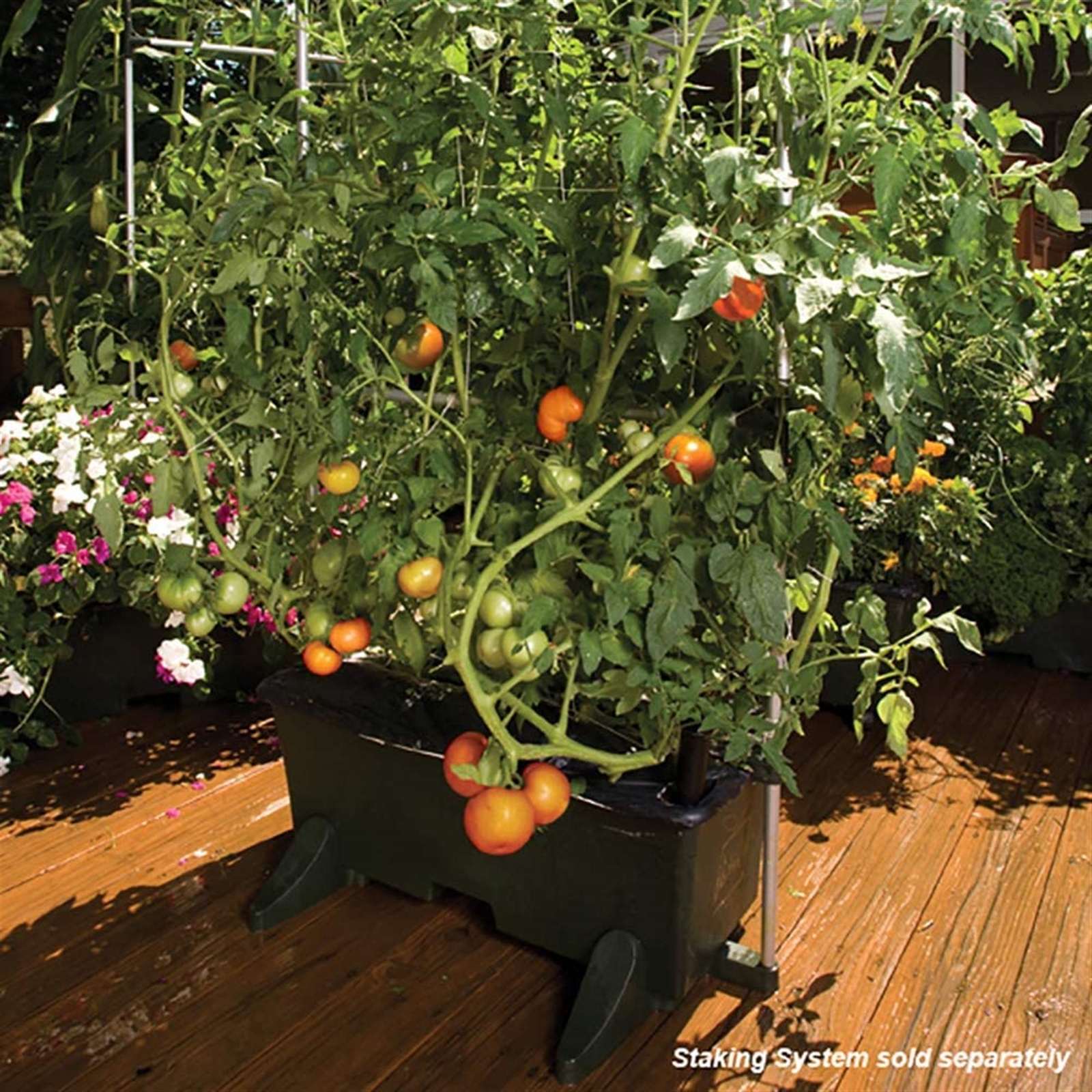 Novelty (#80151) EarthBox Natural Garden Kit - Green (Pack of 4)