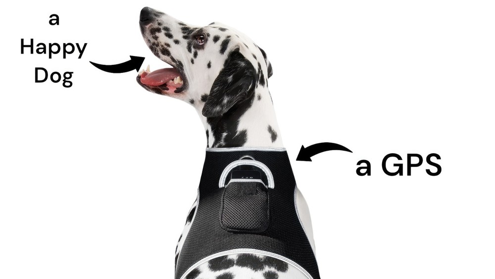 iTrackPET GPS Pet Tracker for Dogs - Waterproof, GPS Location & Activity Tracker