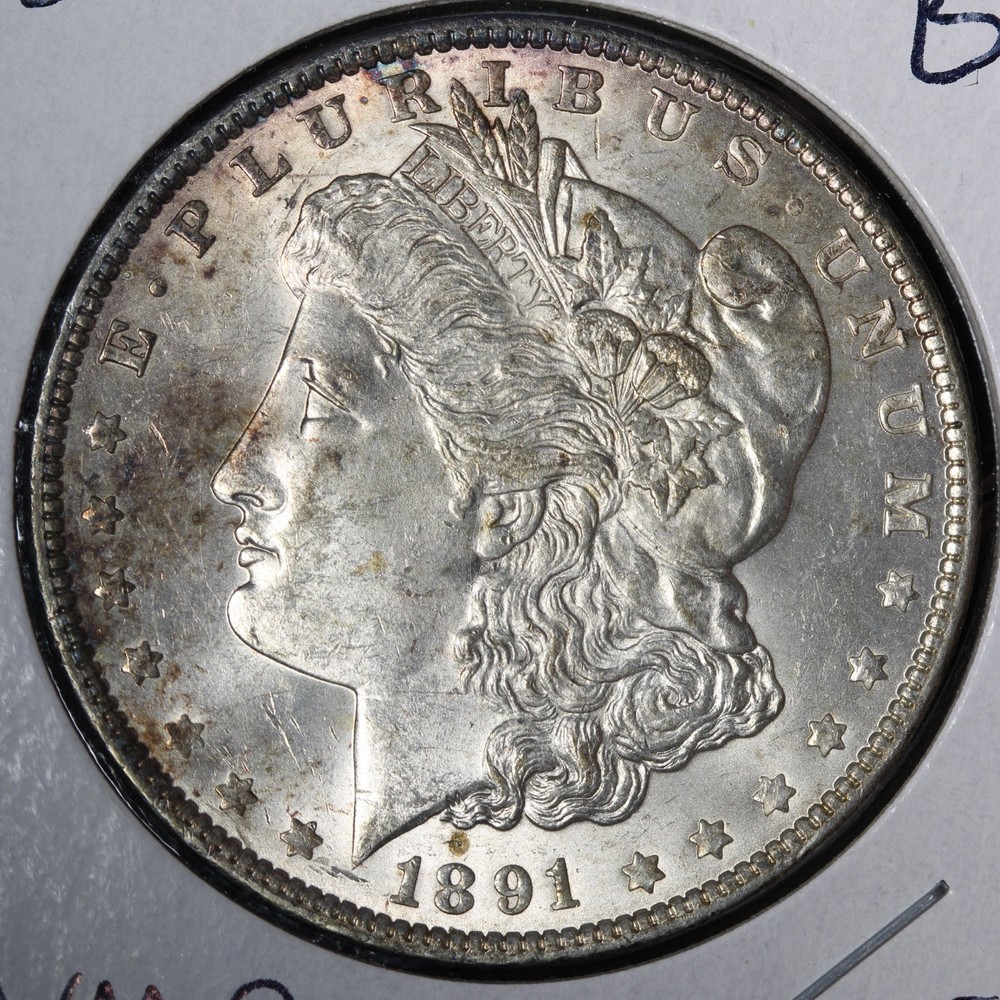 1891 Morgan Silver Dollar BU *UNCIRCULATED* MS E350 AVMP