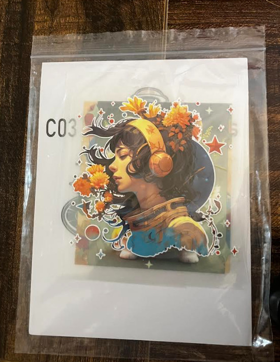 InkSonic R1390 A3 DTF Printer Bundle – Lightly Used, Tested, White Ink System