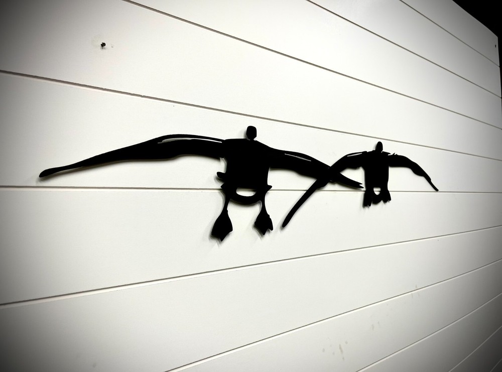 Pair Canada Geese Landing - 36-inches - Black