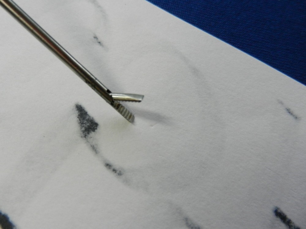 E6594 R. Wolf 8486.08 Miniature Forceps