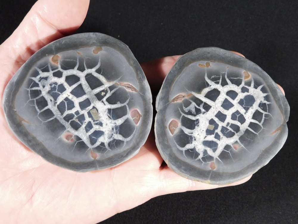 Neat! Lighting Like Pattern! Split and Polished SEPTARIAN Nodule Morocco 368gr