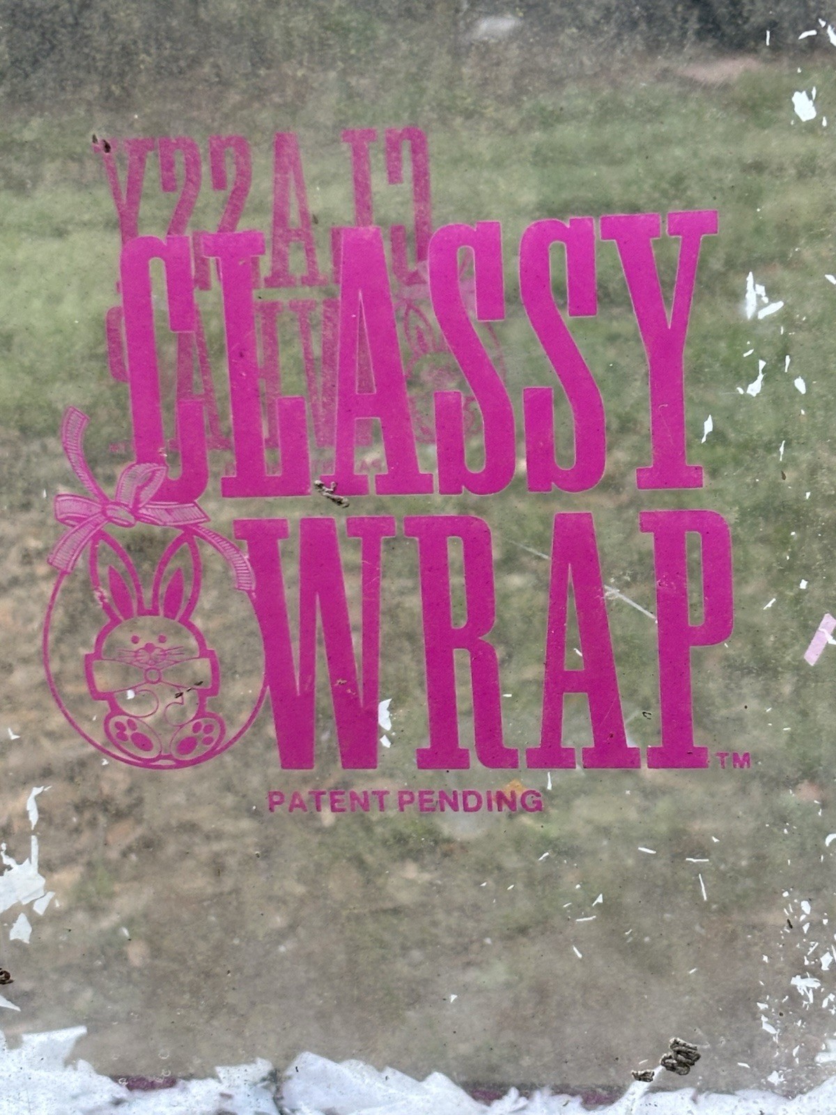 Classy Wrap ~ GIAB ~ Gift In a Balloon Machine