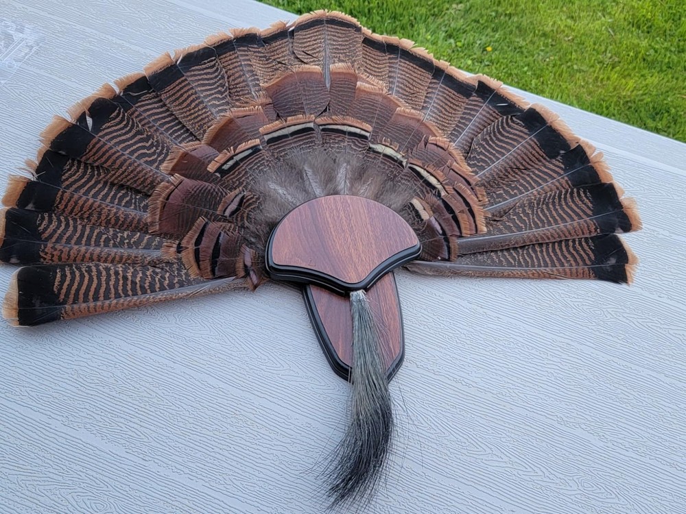 Turkey Tail & Beard Mounting Kit Trophy Mount Plaque Hardware Included Hunters E