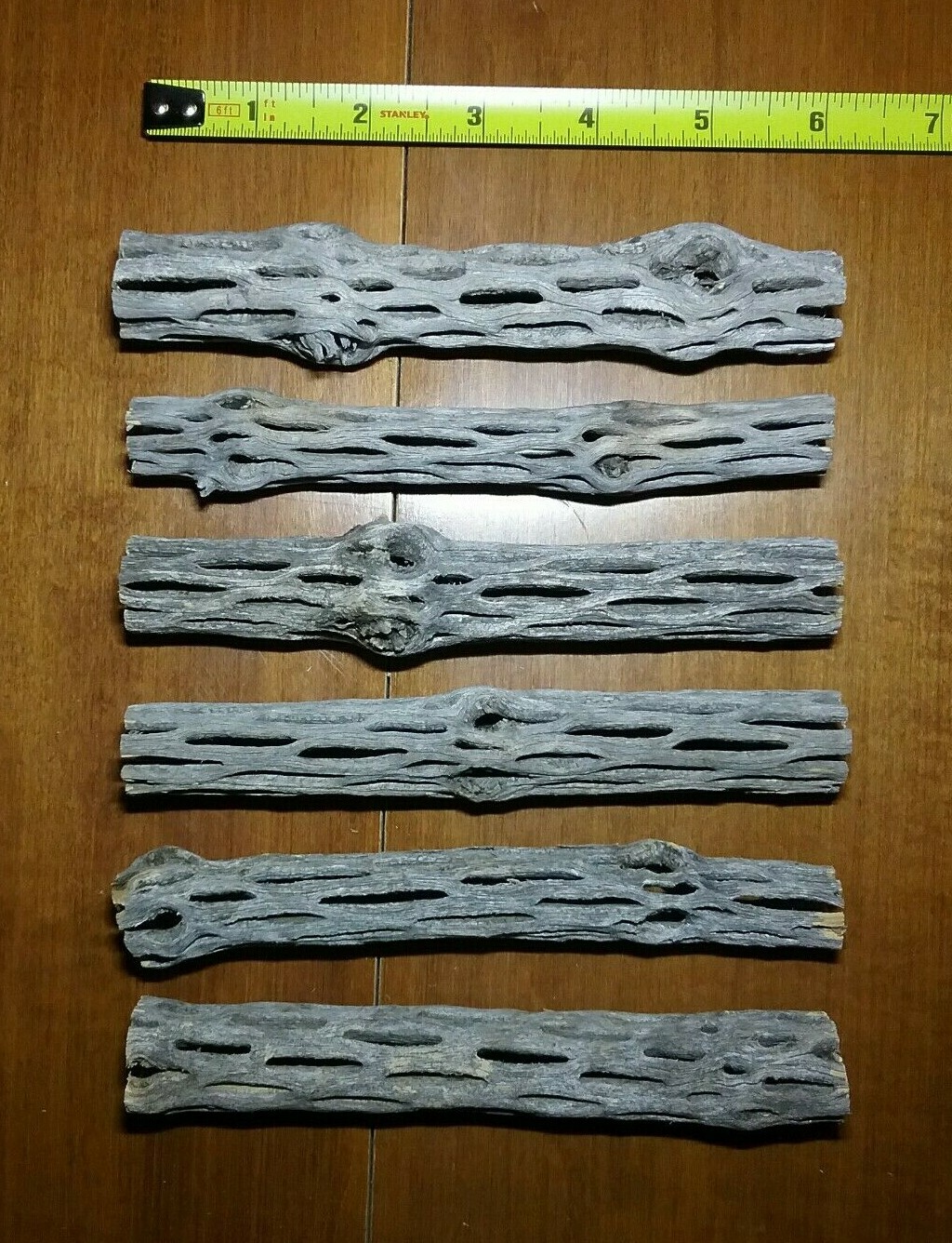 20 pcs 6" inch CHOLLA Wood Cactus | ORGANIC, Untreated | Shrimp Aquarium CRAFTS!