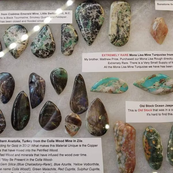 Riker Display Case 12 x 8 x 3/4 Arrowheads Fossil Pin Medal Coins USA Shadow Box