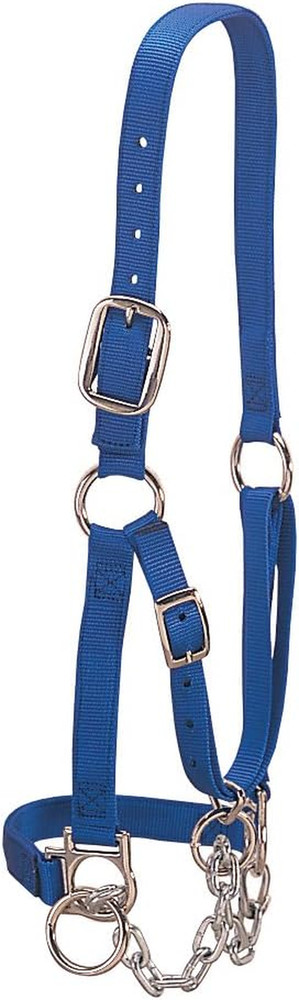 Heavy-Duty Restraint Halter, Blue, Small