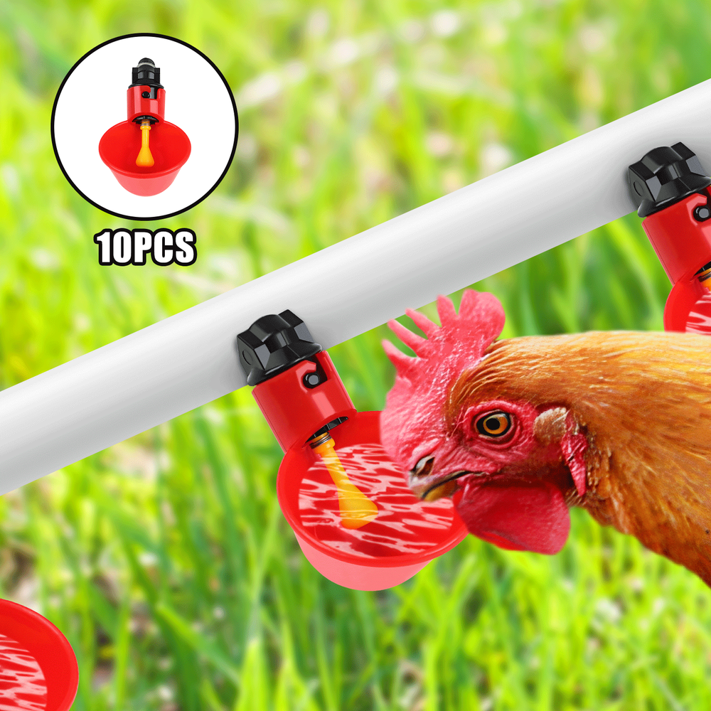 10PCS Poultry Water Drinking Cups Chicken Hen Quail Plastic Automatic Drinker
